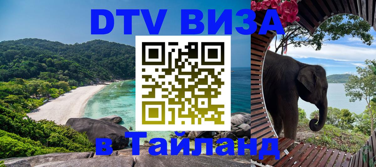Оформление DTV визы под ключ: стоимость и тарифы, только загранпаспорт - 03.10.2025 